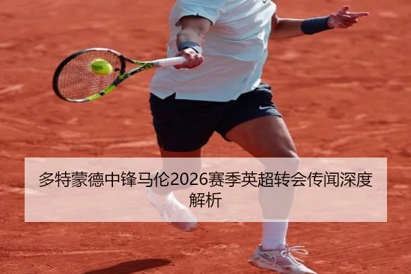 多特蒙德中锋马伦2026赛季英超转会传闻深度解析